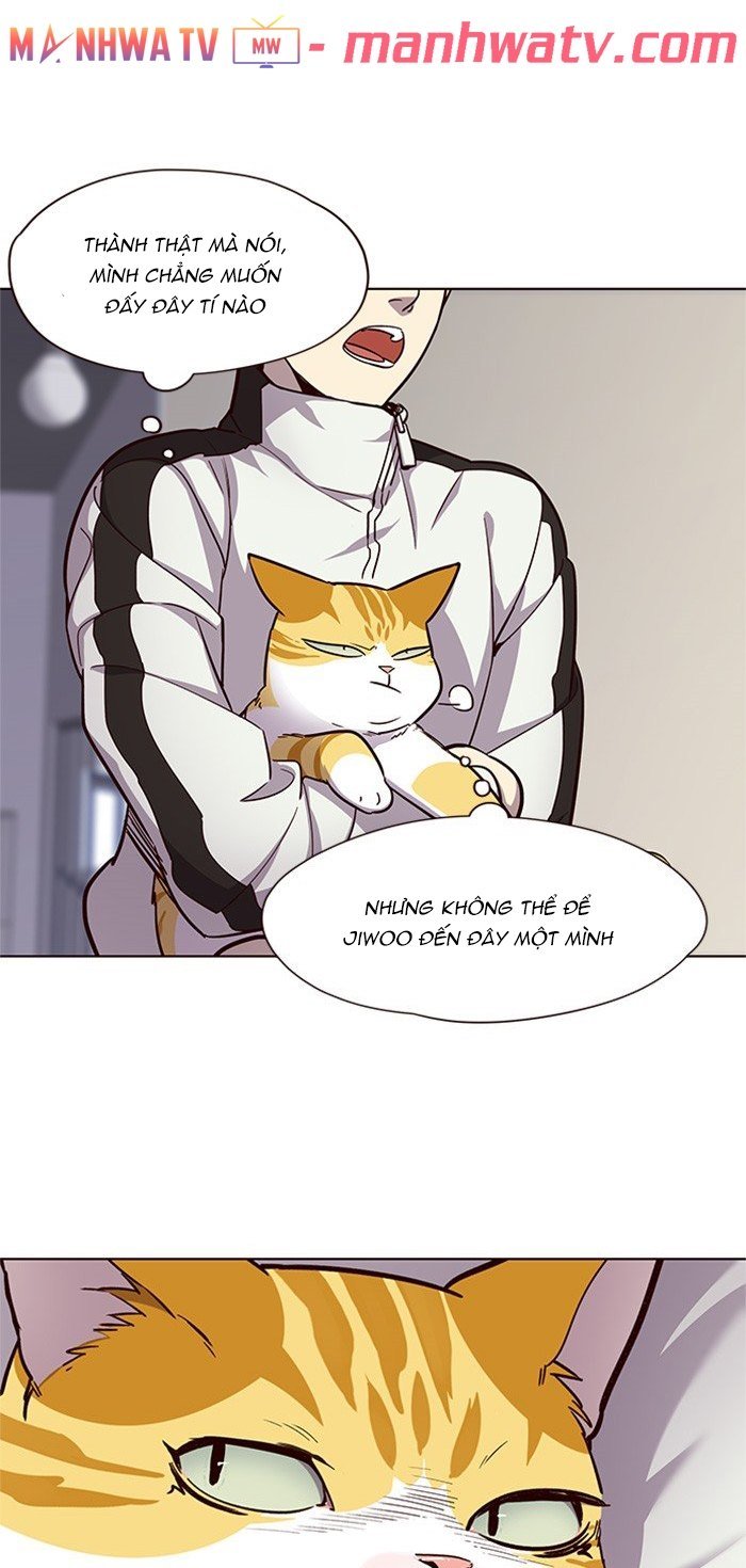 Đọc truyện Hoá thân thành mèo - Chap 24