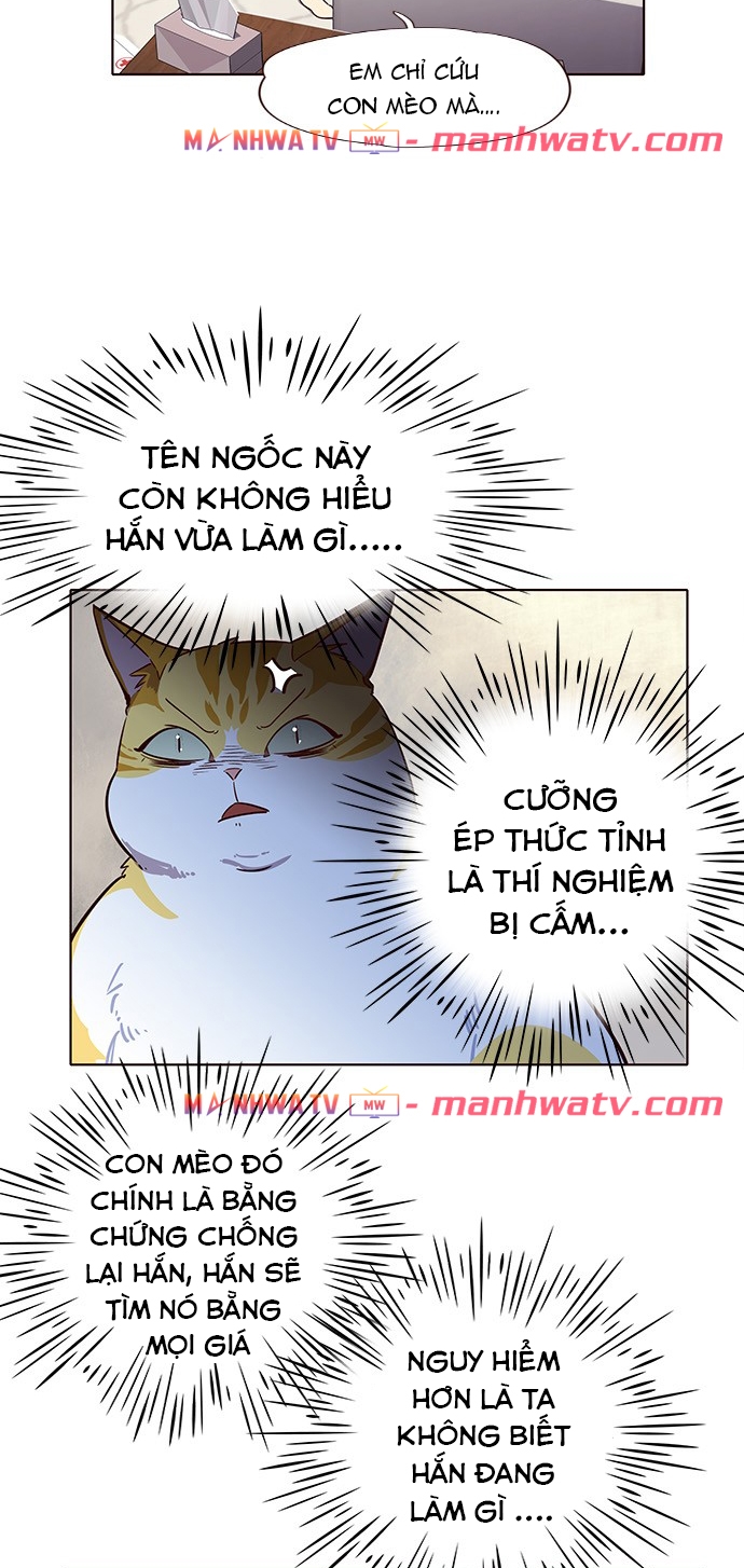 Đọc truyện Hoá thân thành mèo - Chap 6