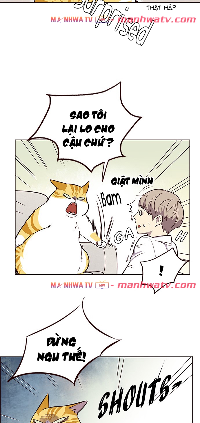 Đọc truyện Hoá thân thành mèo - Chap 6