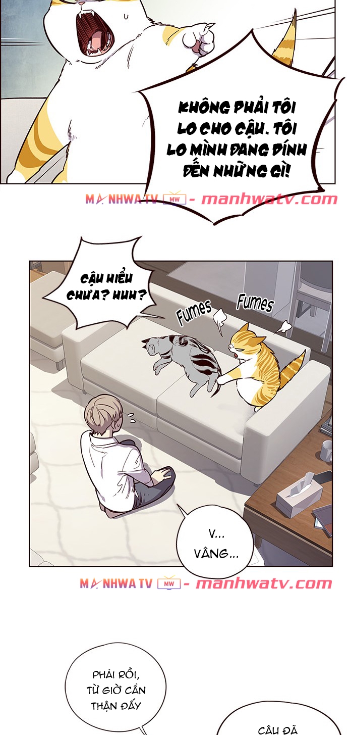 Đọc truyện Hoá thân thành mèo - Chap 6