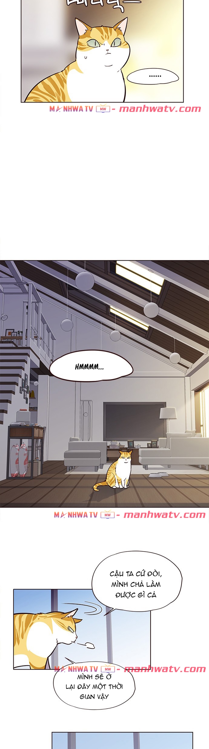 Đọc truyện Hoá thân thành mèo - Chap 6