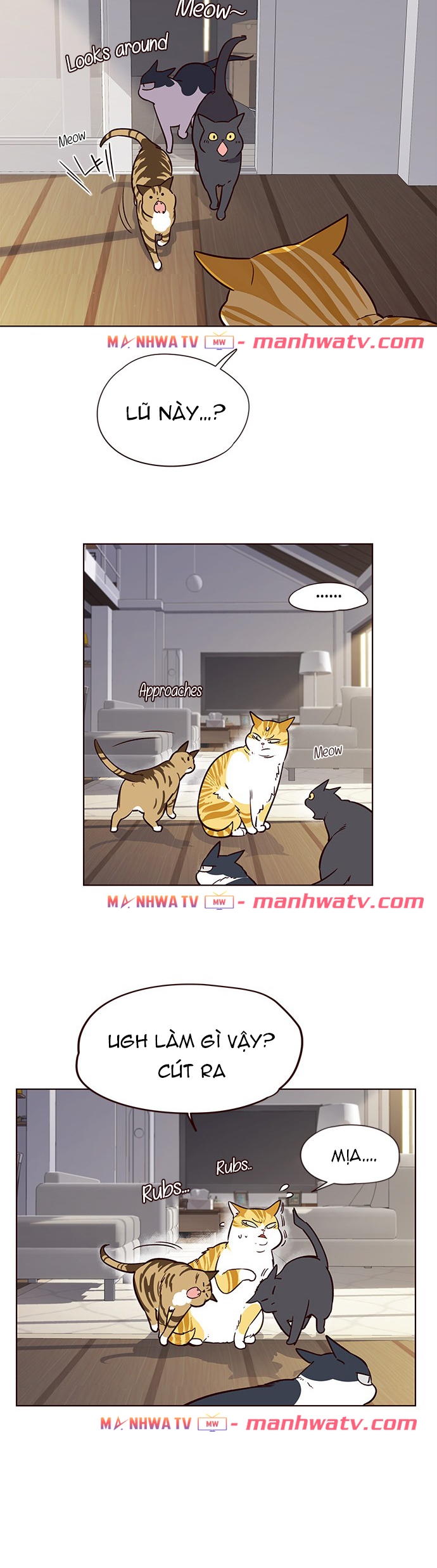 Đọc truyện Hoá thân thành mèo - Chap 6