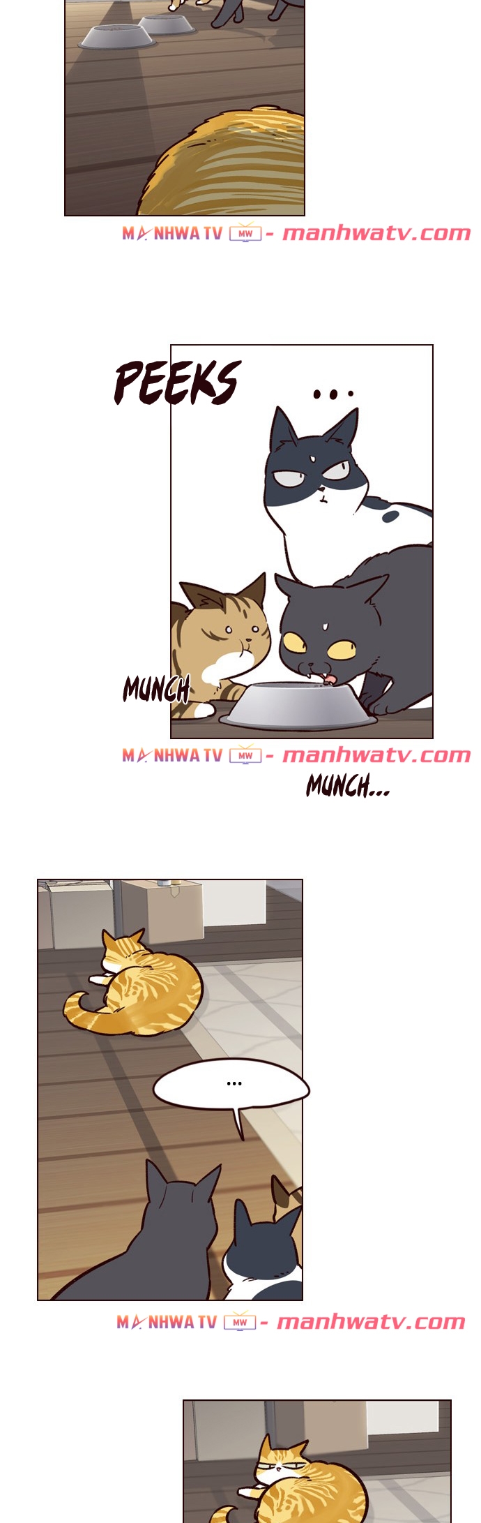 Đọc truyện Hoá thân thành mèo - Chap 6