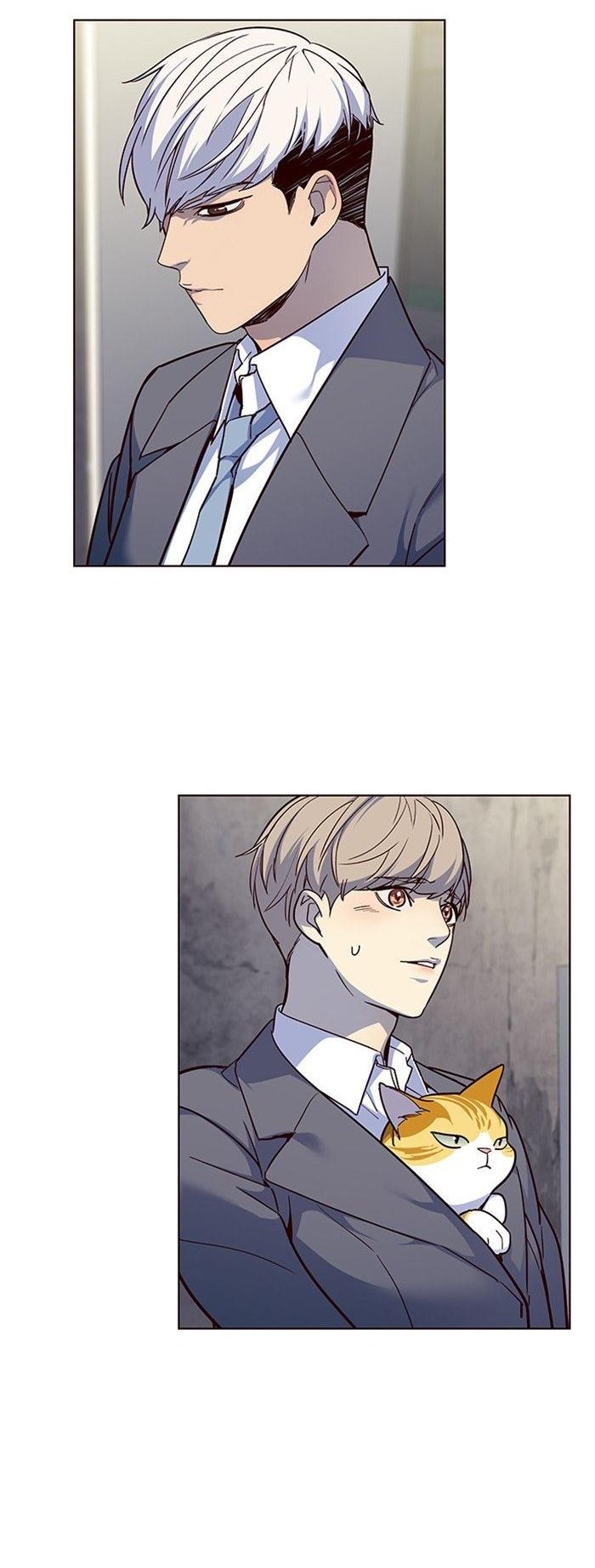 Đọc truyện Hoá thân thành mèo - Chap 41