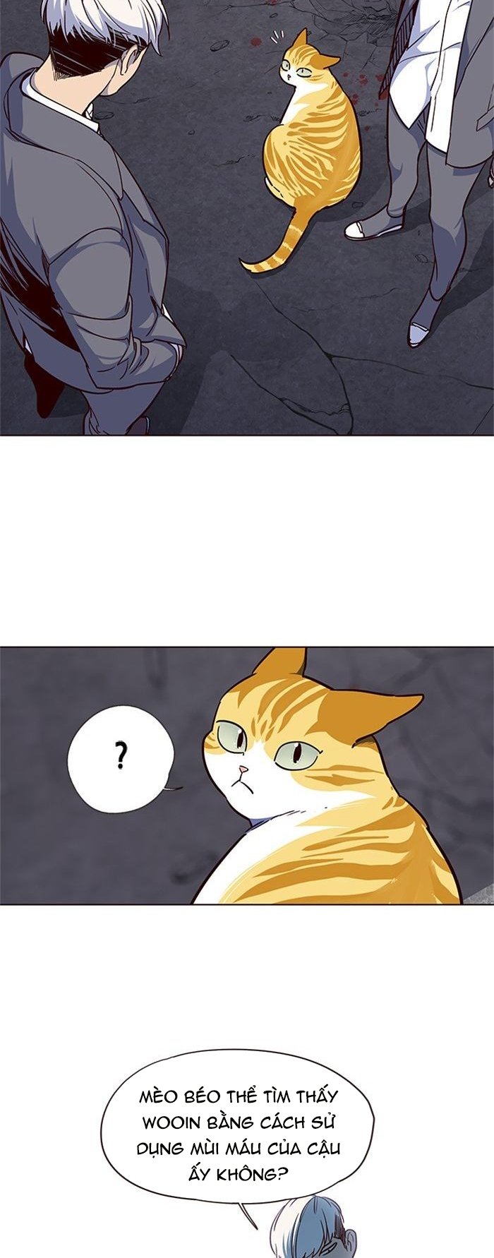 Đọc truyện Hoá thân thành mèo - Chap 41