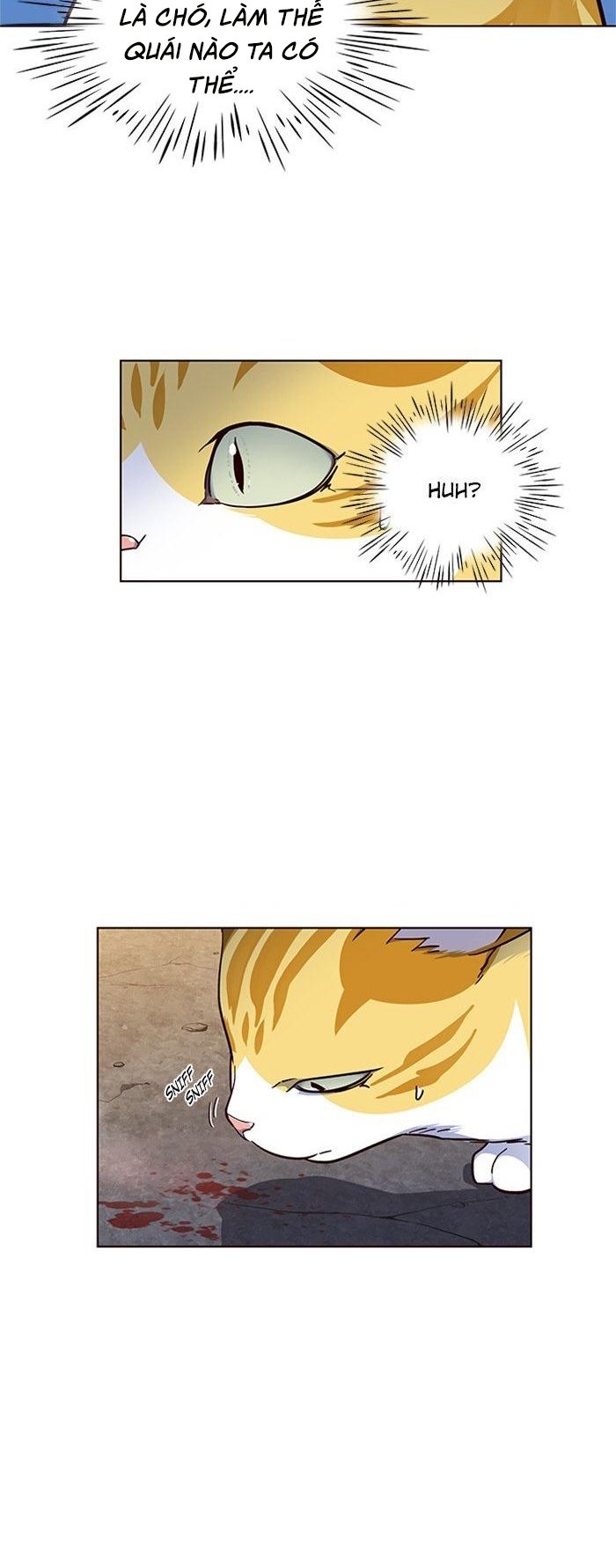 Đọc truyện Hoá thân thành mèo - Chap 41