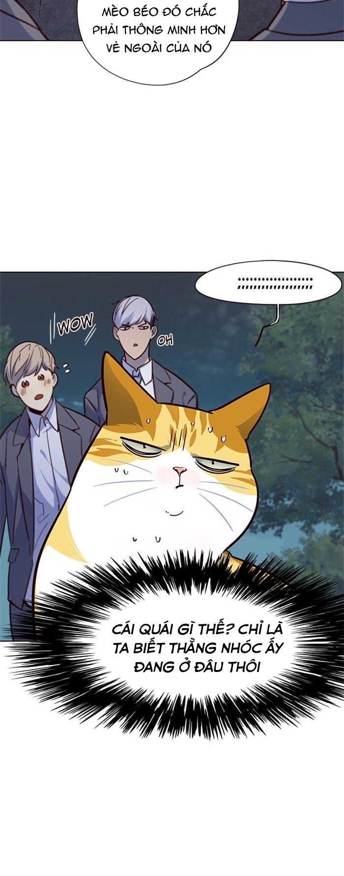 Đọc truyện Hoá thân thành mèo - Chap 41