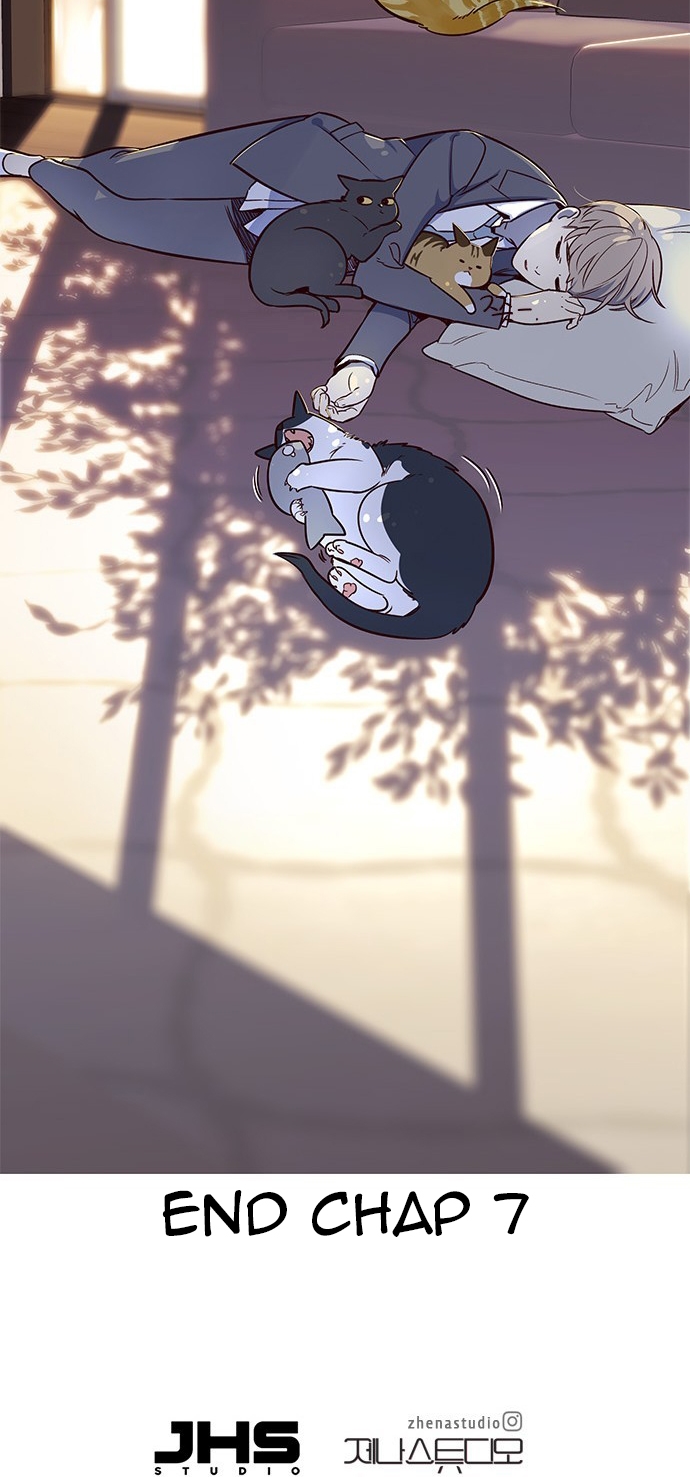 Đọc truyện Hoá thân thành mèo - Chap 7