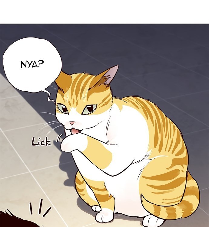 Đọc truyện Hoá thân thành mèo - Chap 19