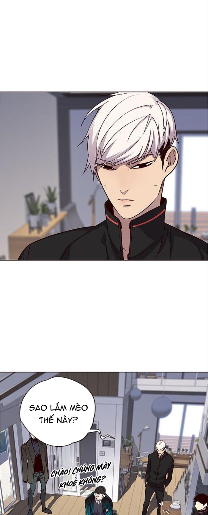 Đọc truyện Hoá thân thành mèo - Chap 35