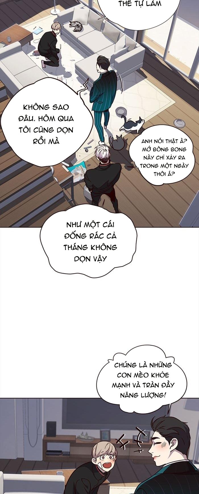 Đọc truyện Hoá thân thành mèo - Chap 35