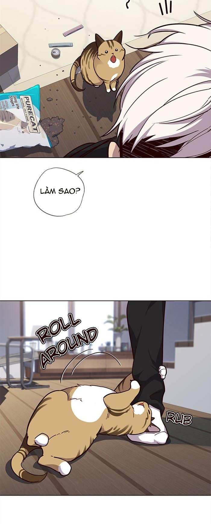 Đọc truyện Hoá thân thành mèo - Chap 35