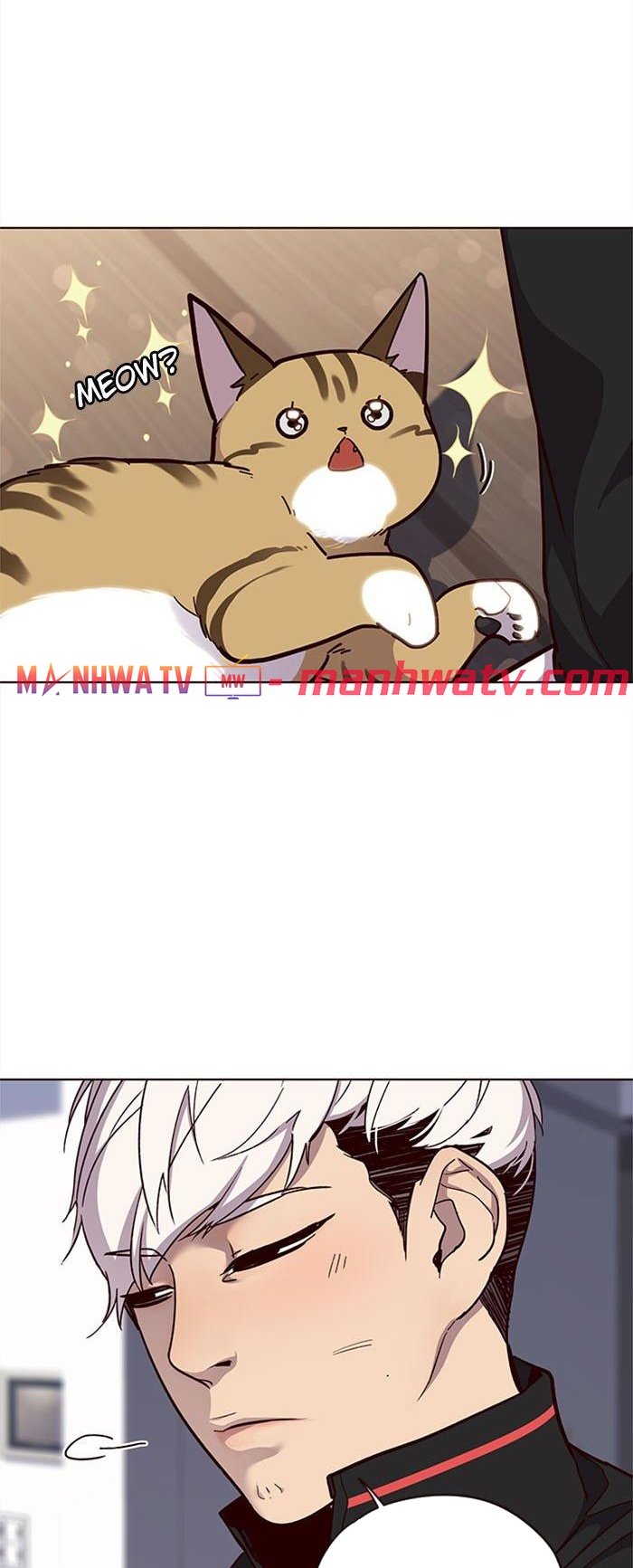 Đọc truyện Hoá thân thành mèo - Chap 35