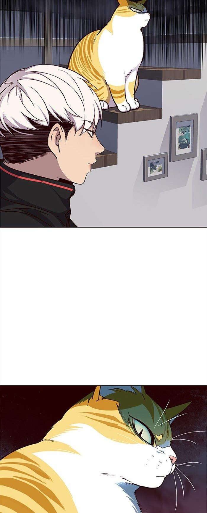 Đọc truyện Hoá thân thành mèo - Chap 35