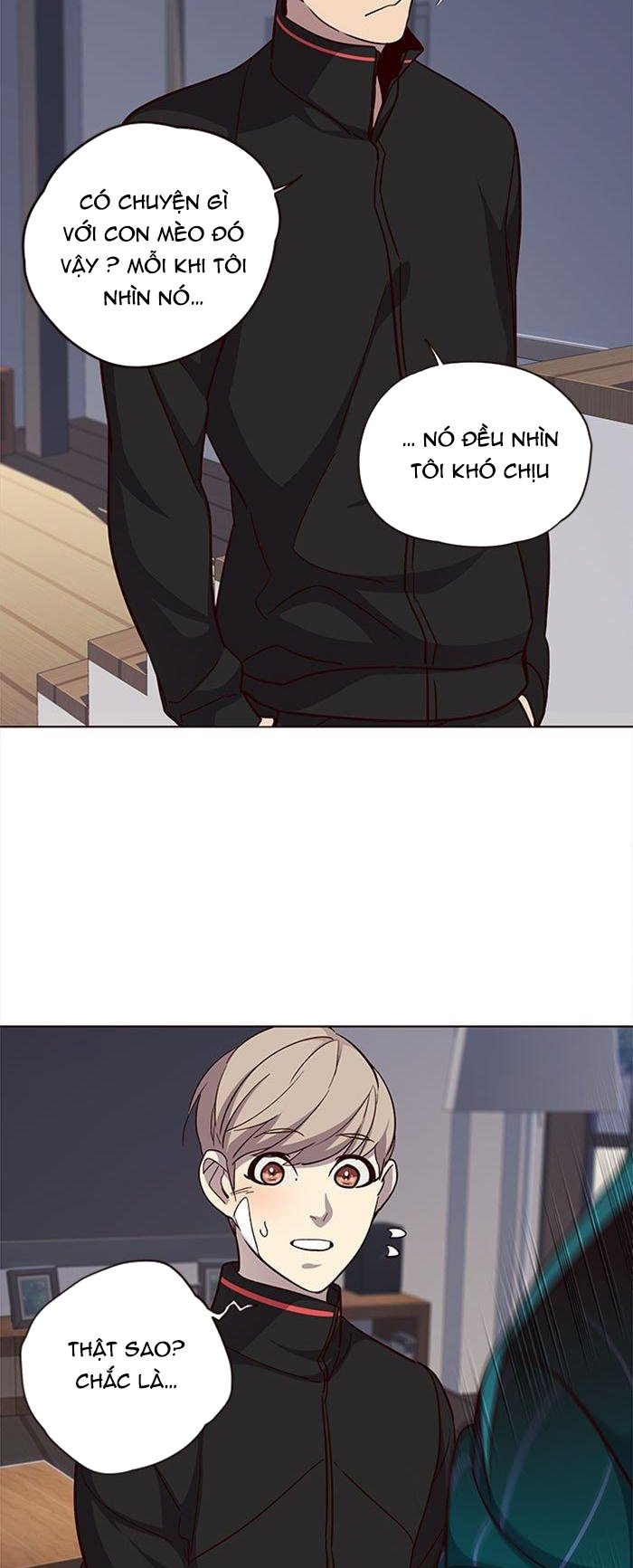 Đọc truyện Hoá thân thành mèo - Chap 35