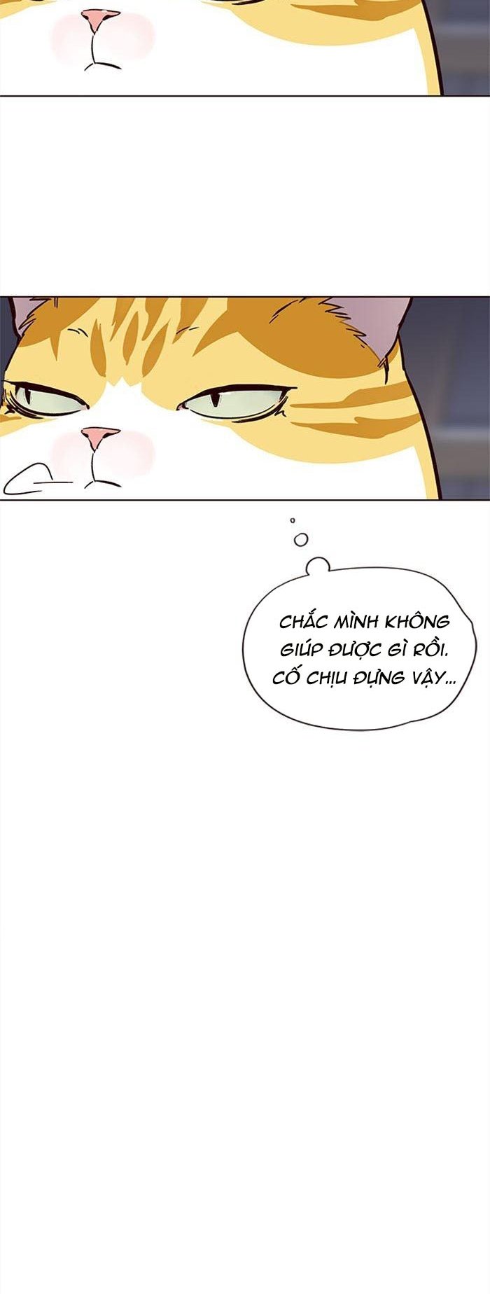 Đọc truyện Hoá thân thành mèo - Chap 35