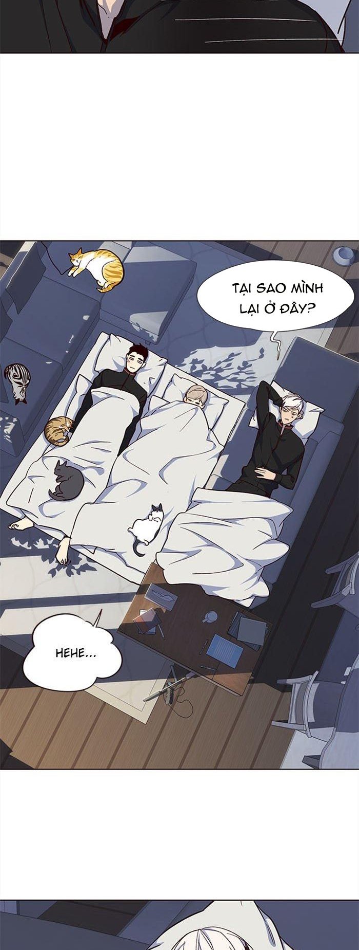 Đọc truyện Hoá thân thành mèo - Chap 35