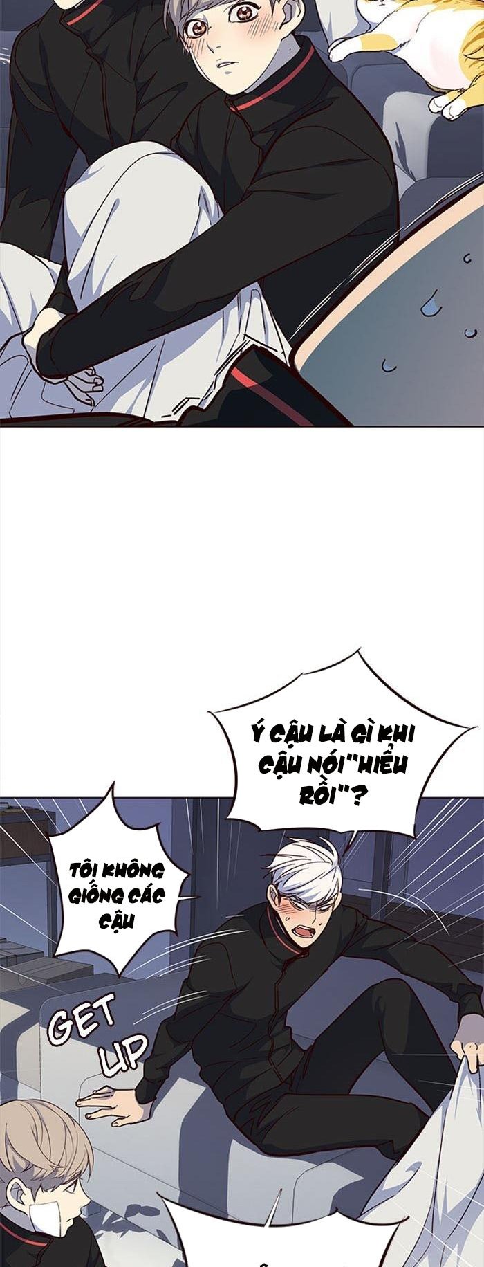 Đọc truyện Hoá thân thành mèo - Chap 35