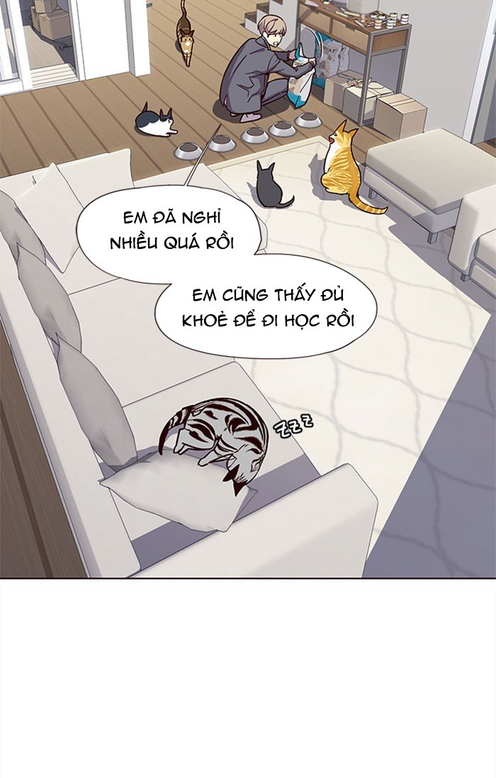 Đọc truyện Hoá thân thành mèo - Chap 37