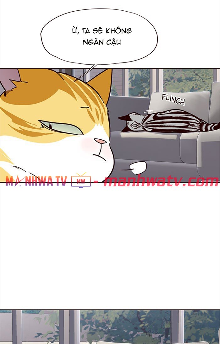 Đọc truyện Hoá thân thành mèo - Chap 37