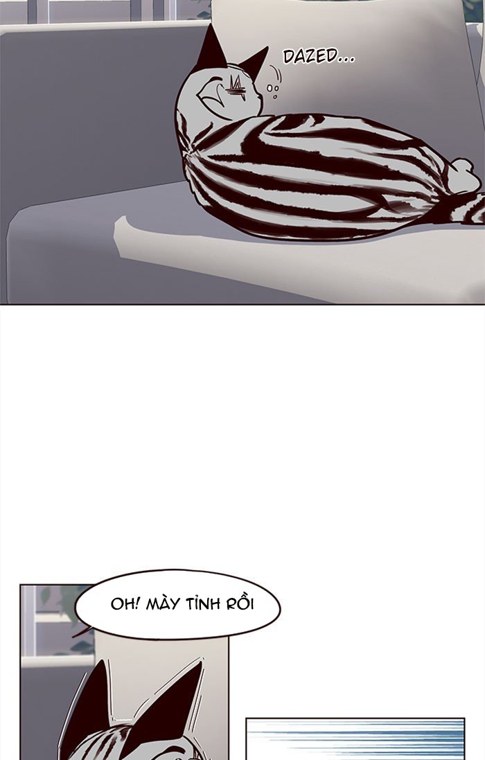 Đọc truyện Hoá thân thành mèo - Chap 37
