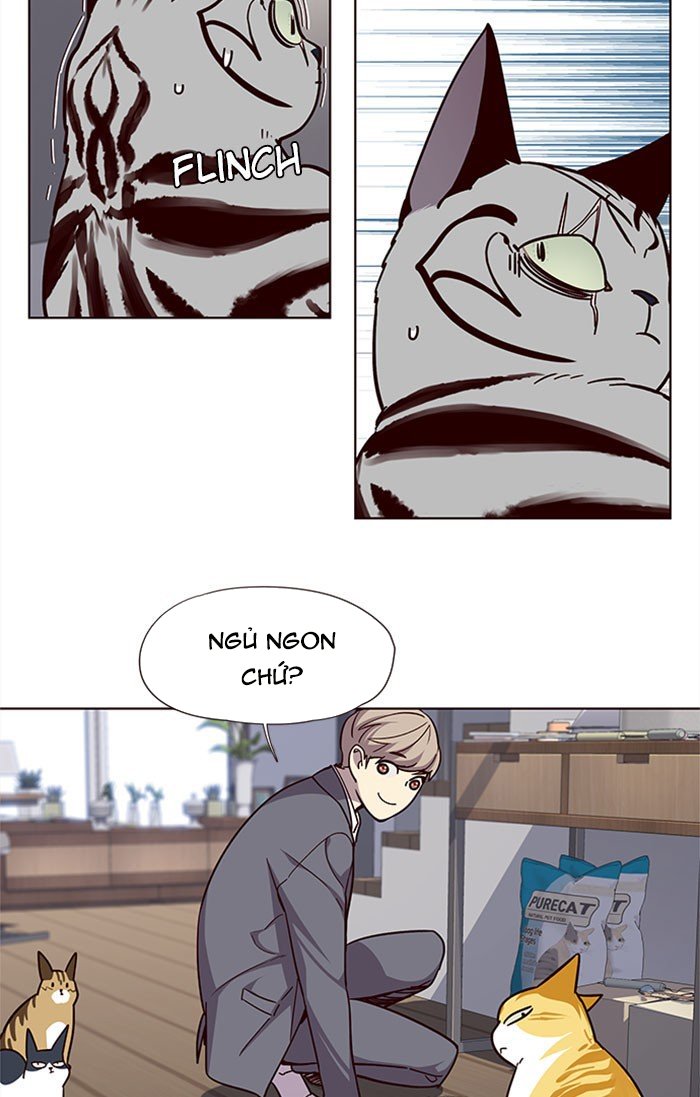 Đọc truyện Hoá thân thành mèo - Chap 37