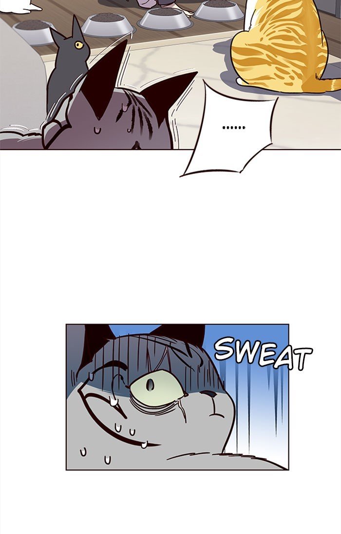 Đọc truyện Hoá thân thành mèo - Chap 37