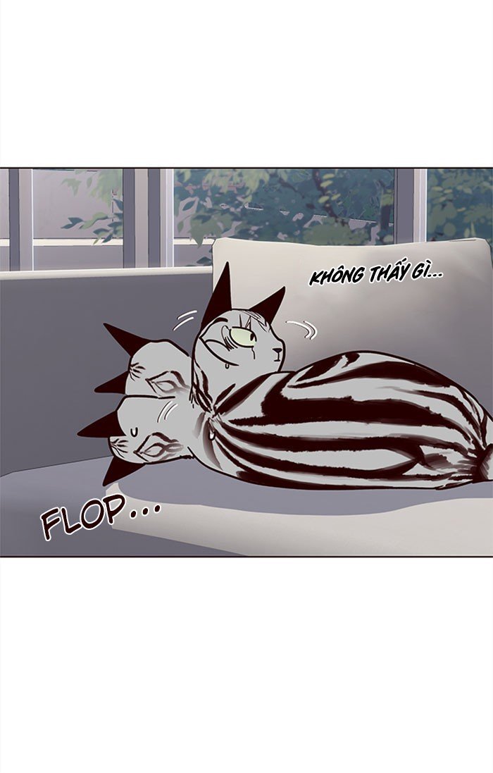 Đọc truyện Hoá thân thành mèo - Chap 37