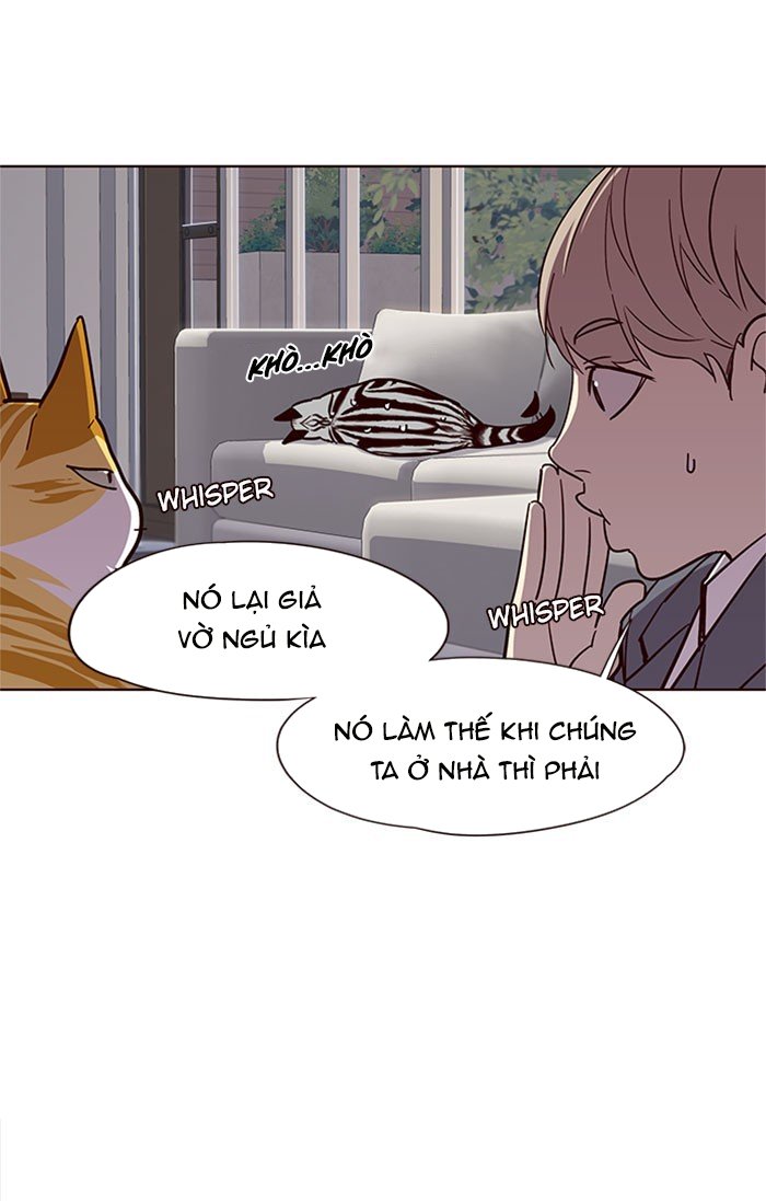 Đọc truyện Hoá thân thành mèo - Chap 37