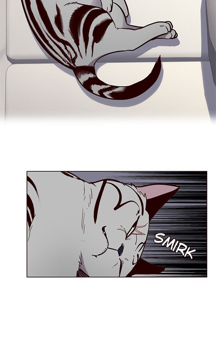 Đọc truyện Hoá thân thành mèo - Chap 37