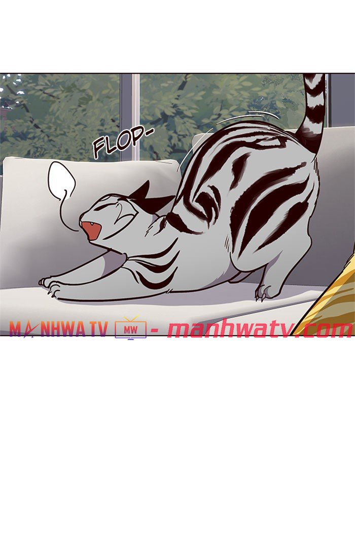 Đọc truyện Hoá thân thành mèo - Chap 37