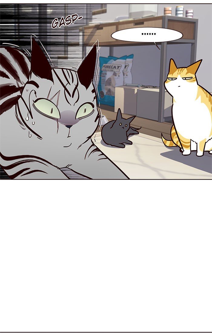 Đọc truyện Hoá thân thành mèo - Chap 37