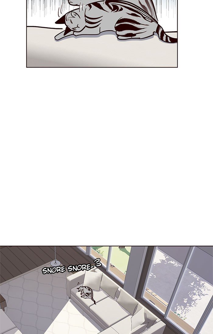 Đọc truyện Hoá thân thành mèo - Chap 37