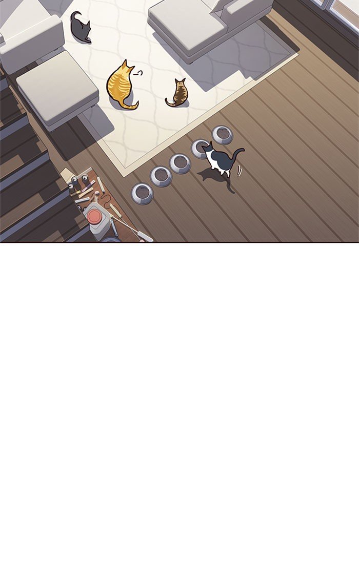 Đọc truyện Hoá thân thành mèo - Chap 37