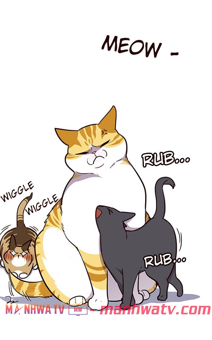 Đọc truyện Hoá thân thành mèo - Chap 37