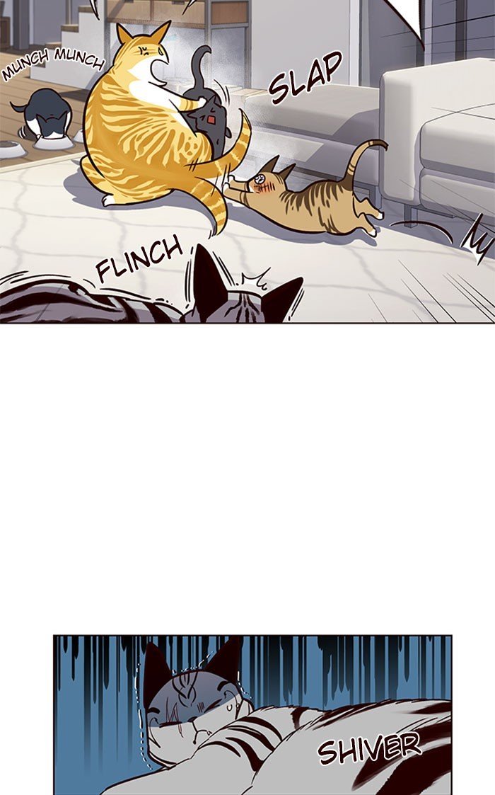 Đọc truyện Hoá thân thành mèo - Chap 37