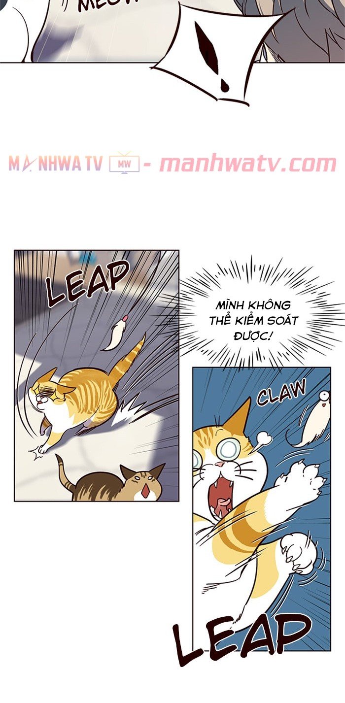 Đọc truyện Hoá thân thành mèo - Chap 16