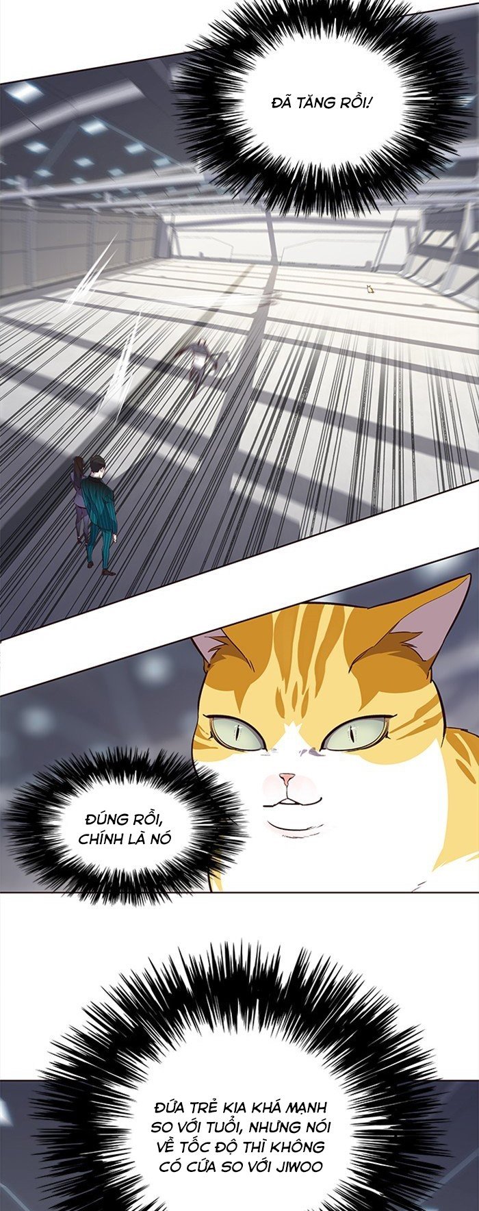 Đọc truyện Hoá thân thành mèo - Chap 25