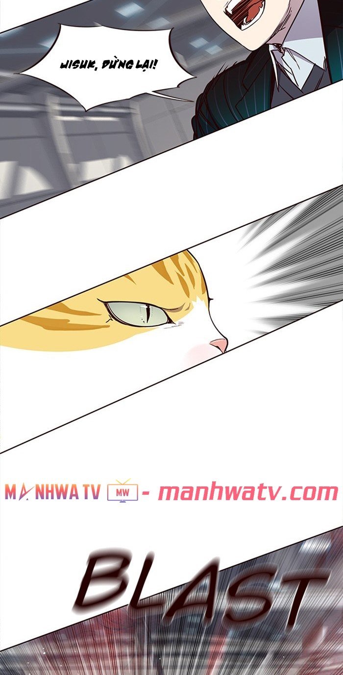 Đọc truyện Hoá thân thành mèo - Chap 25