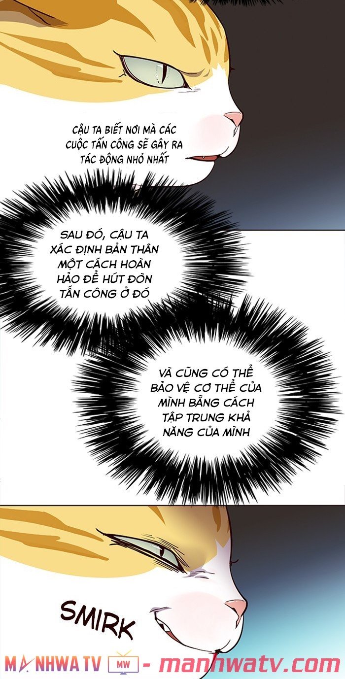 Đọc truyện Hoá thân thành mèo - Chap 25