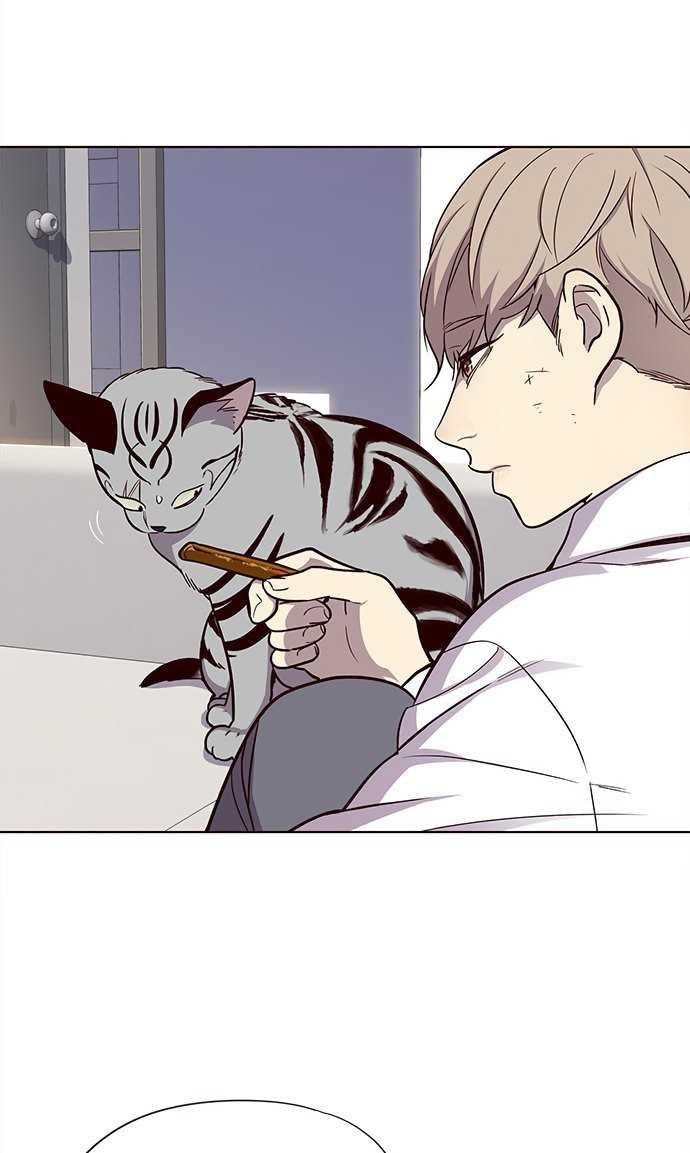 Đọc truyện Hoá thân thành mèo - Chap 21