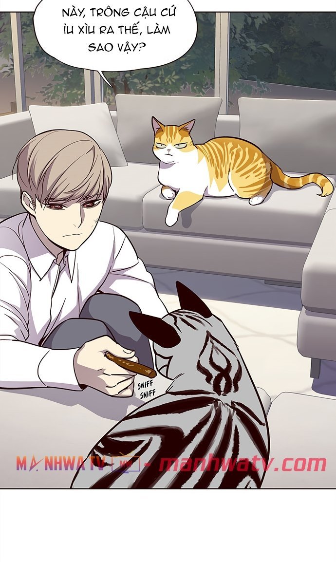 Đọc truyện Hoá thân thành mèo - Chap 21