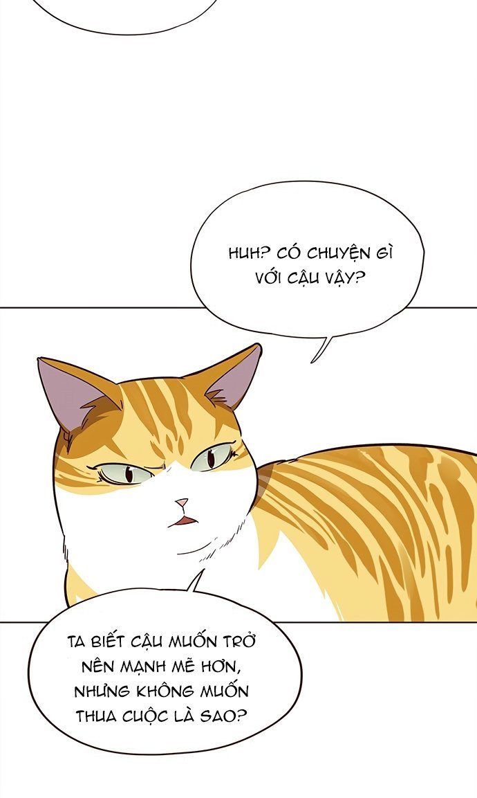 Đọc truyện Hoá thân thành mèo - Chap 21