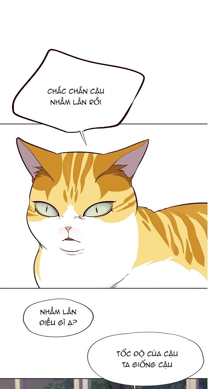 Đọc truyện Hoá thân thành mèo - Chap 21
