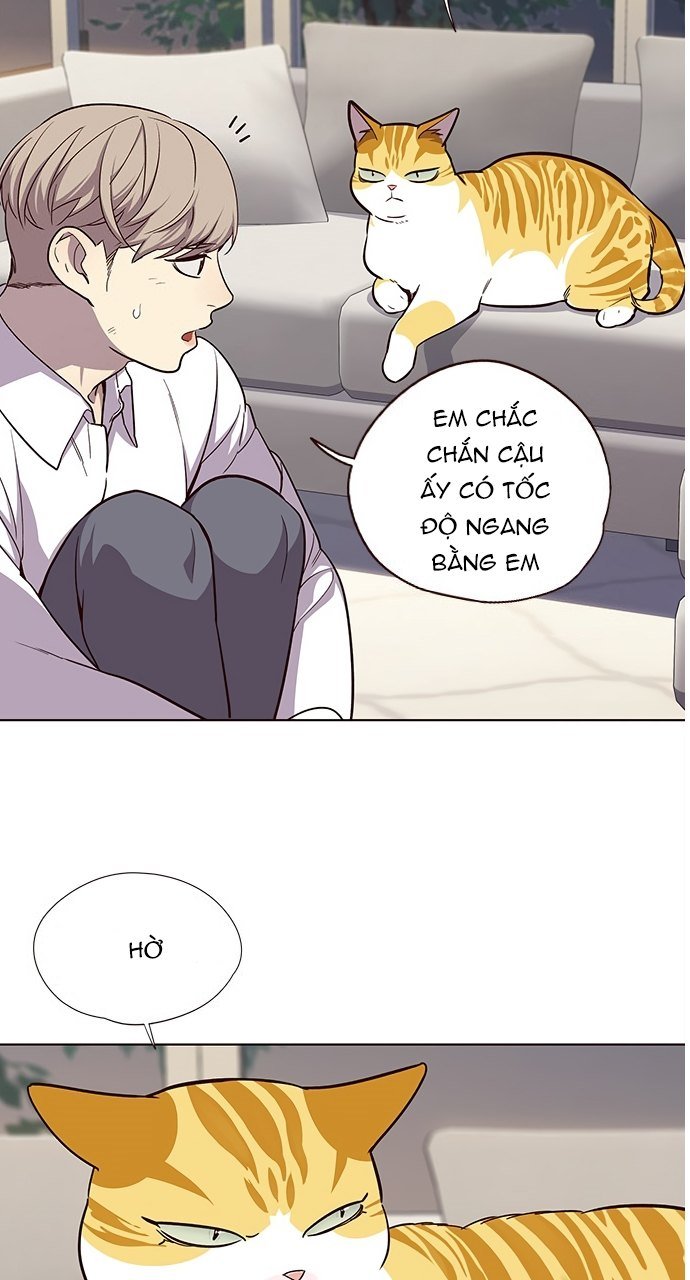 Đọc truyện Hoá thân thành mèo - Chap 21