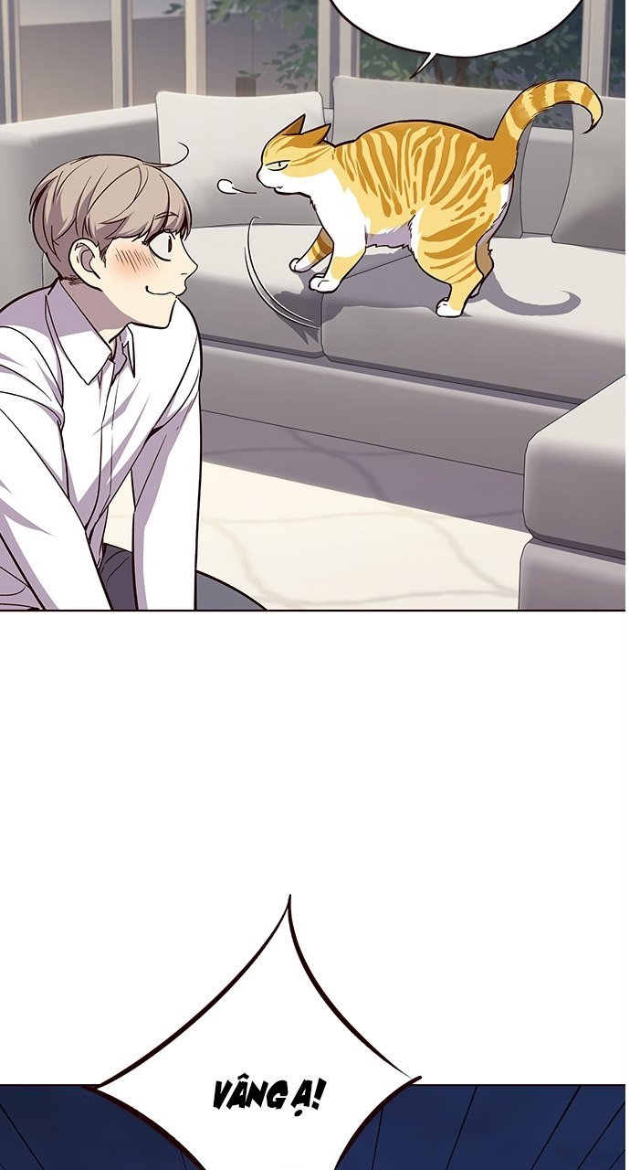 Đọc truyện Hoá thân thành mèo - Chap 21
