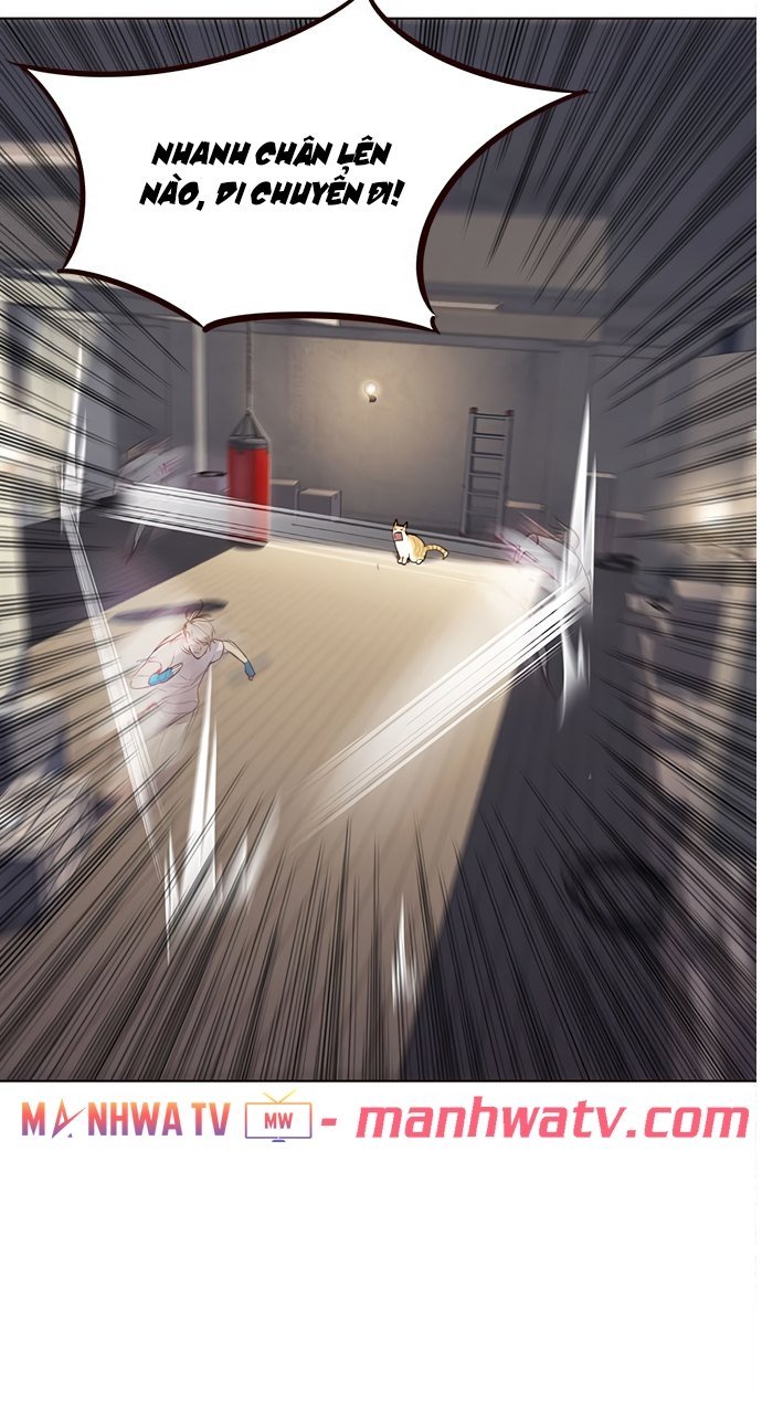 Đọc truyện Hoá thân thành mèo - Chap 21