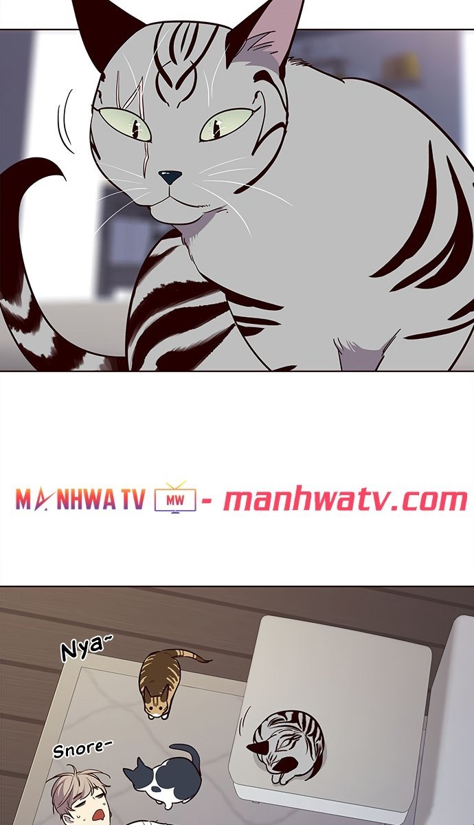 Đọc truyện Hoá thân thành mèo - Chap 21