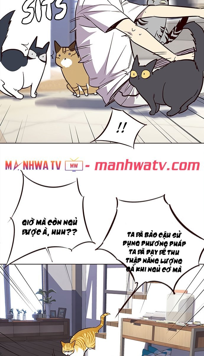 Đọc truyện Hoá thân thành mèo - Chap 21