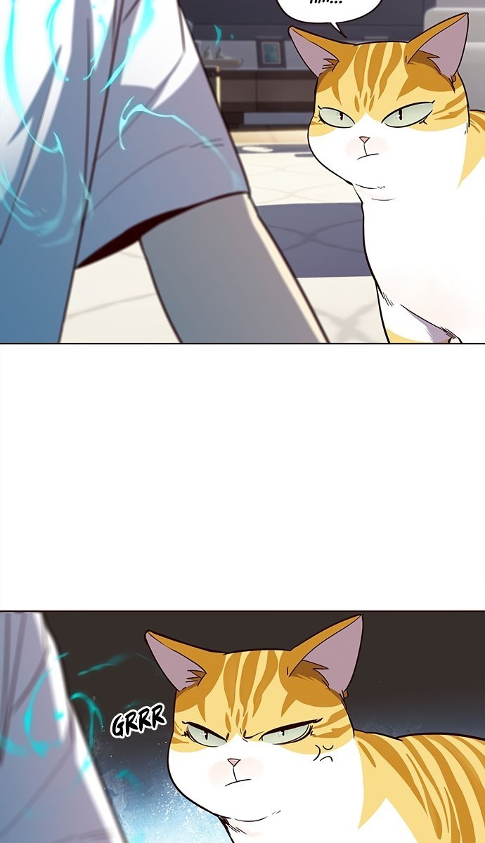 Đọc truyện Hoá thân thành mèo - Chap 21